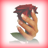 spy-salon_ban11