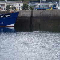 p8040588