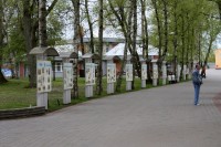 IMG_0270