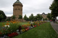 Mannheim 287