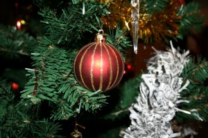 Xmas 004