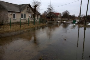 IMG_1729