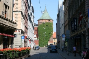 IMG_9855