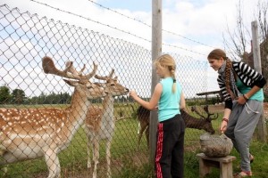 Summer_Camp__7