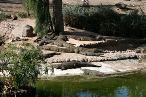 Lanzarote 072