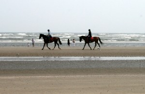 IMG_6519