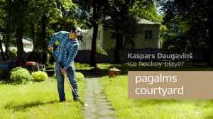 daugavins