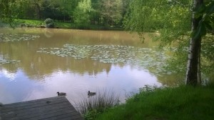 WP_20150510_001-001