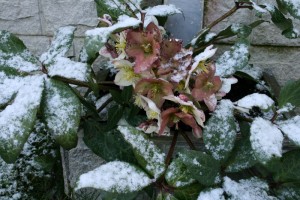 IMG_9032