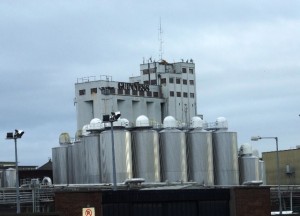 2008_02100059