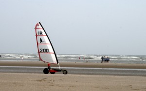 IMG_6521