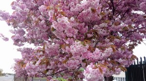 20180504_155920