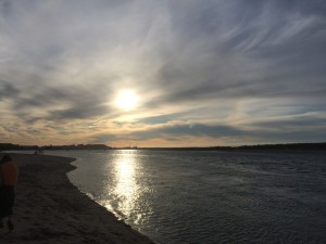 img_0246