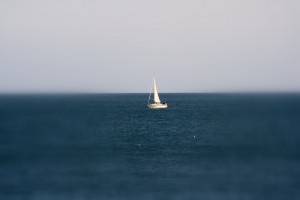 mohera-388