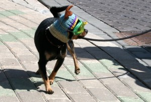 img_0098