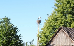 img_7367