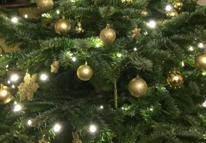 img_0410-1