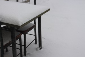 img_5974