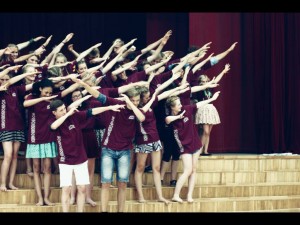 evs-bilde