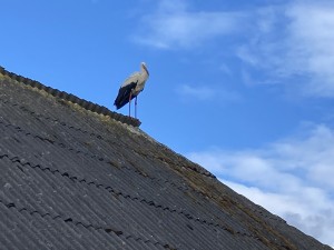 img-1859