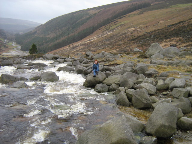 Viklovas kalni. Wicklow Gap