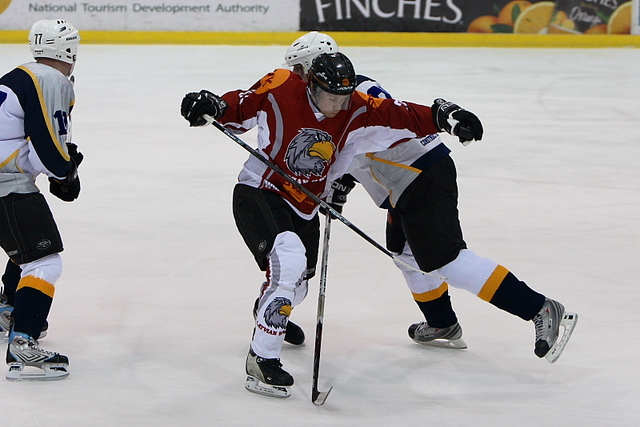 “Latvian Hawks” par 2008. gadu: