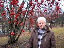 Dziednieks Alberts Kokins ciemosies Īrijā