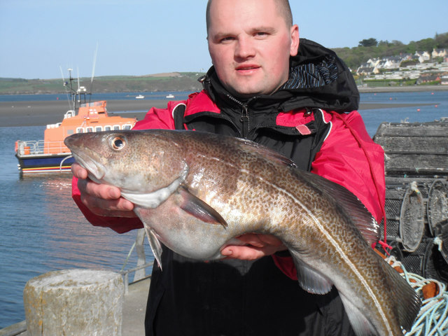 Latvieša loms – 6 kg smaga menca