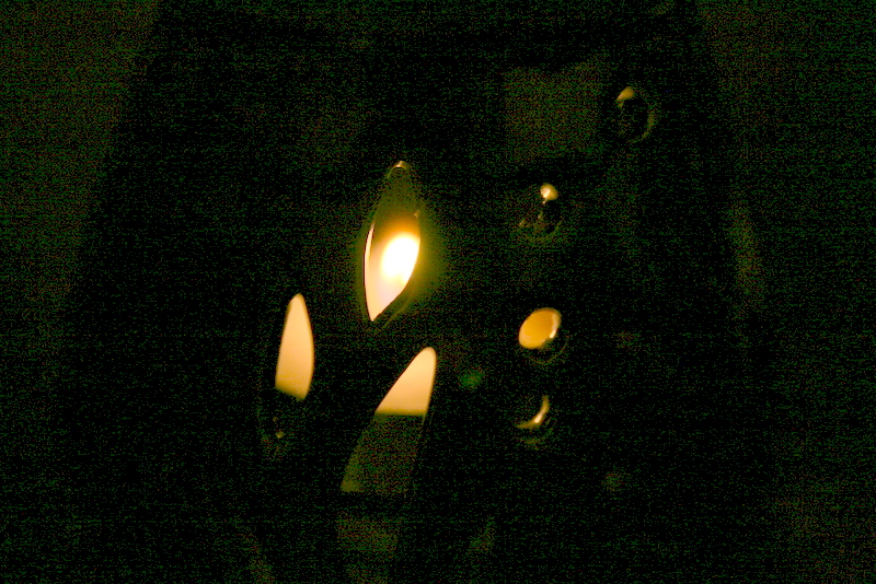 Līdzjūtība
