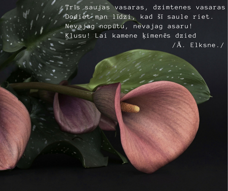 Līdzjūtība