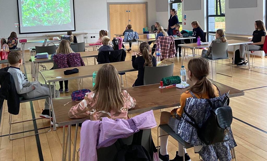 Ziemeļīrijas skoliņa atsāk darbu klātienē un aicina pieteikt bērnus