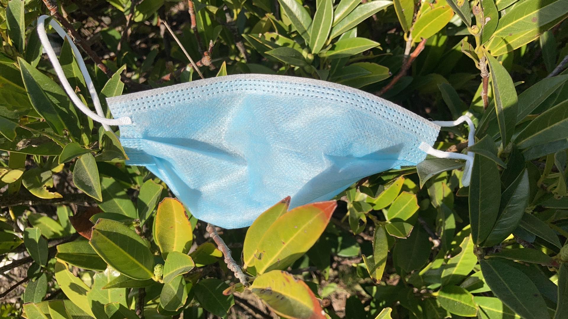 Kas ir cilvēki, kas vēlas valkāt sejas maskas arī pēc pandēmijas?