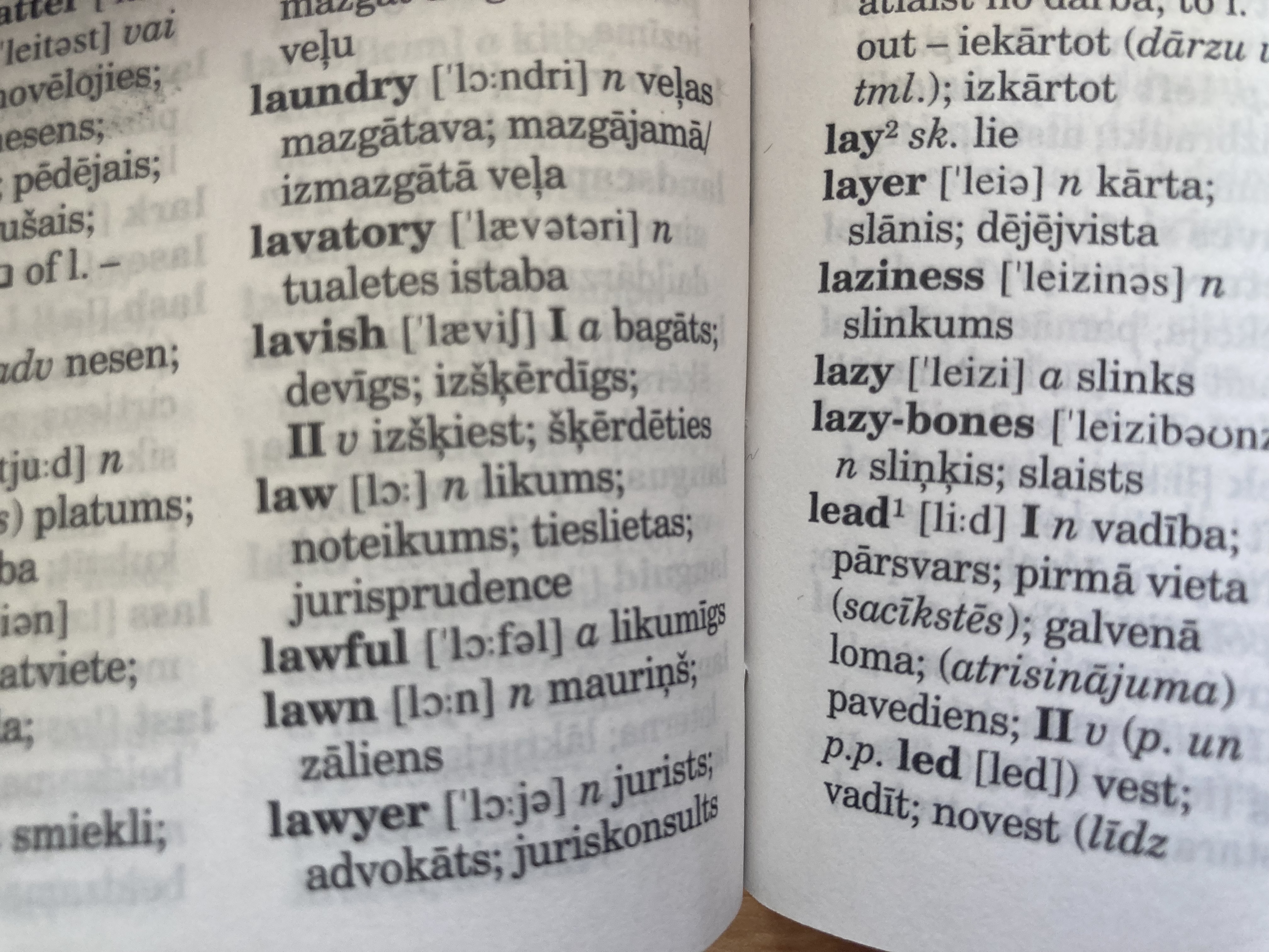 Tiesneses izteicieni Portlaoise izraisījuši organizācijas INAR sašutumu
