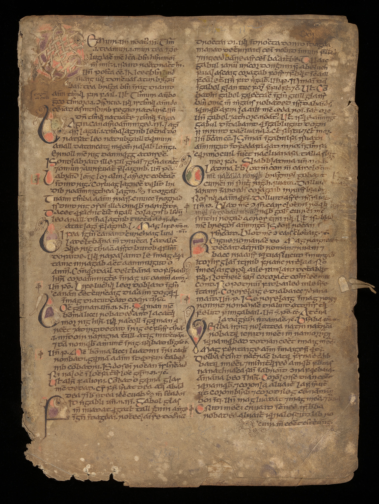 Trinity bibliotēkā būs apskatāms unikāls manuskripts – viduslaiku  “Vikipēdija”