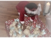 2015-12-22-00-18-44