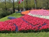 amsterdama-388