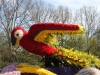 amsterdama-398