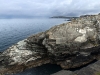mizenhead_01