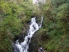 picture-373