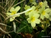 20130429_194743