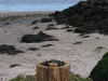 dsc02952