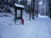 sam_3760