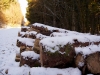 2010_sniegs-3