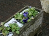 winter-002