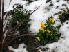 winter-003-1