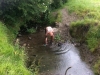 toughmuder4