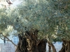 dscf0155