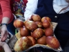 dscn5786