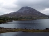 picture_273