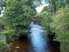 picture_3262